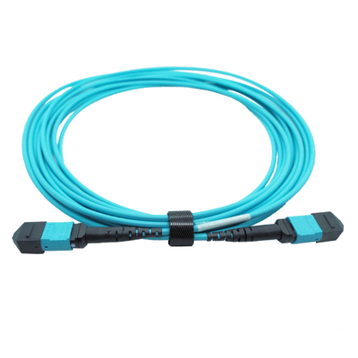 OM4 Multimode Type B Plenum MTP Trunk Cable 5M 12 เส้นใย MTP ตัวเมีย 12fmtpom4
